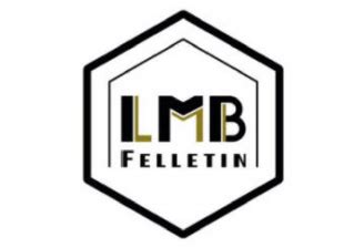 logo lmb felletin.